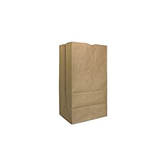 AJM Packaging SQ40NP5C Kraft Paper 20 lb. Grocery Bag - 500 / CS